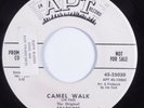 Instrumental Rock & Roll Tittyshaker 45 STARFIRES Camel Walk APT promo HEAR