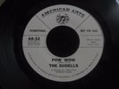 ZZ4 AMERICAN ARTS 12 PROMO SURF ROCK THE SUDELLS POW WOW SUZUKI MIKE CURB