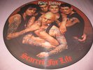 ROSE TATTOO-SCARRED FOR LIFE VERY RARE PICTURE DISC VINYL N/MINT ac/dc-motorhead