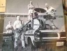 Garage Punk - The Mummies - Never Been Caught - Telstar LP 1st press insert