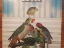 Macondo S/T 1972 Original Rare Killer Latin Funk Soul Rock Santana
