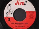 ACCENTS: Our Wonderful Love 45 (clean ) Vocal Groups