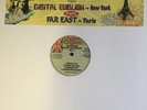 ** FAR EAST MEETS DIGITAL ENGLISH ROOTS SHOWCASE IN SESSION Vol1 LP MELODICA DUB