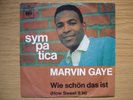 MARVIN GAYE SYMPATICA - WIE SCHÖN DAS IST Coverversion deutsch
