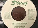 Modern Soul Boogie 45 The James Family-We've Got It Made HEAR IT