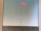 WIRE Pink Flag 1977 Original UK release vinyl LP SHSP4076 NM/NM