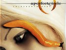 A Perfect Circle Thirteenth Step 2x LP Vinyl NEW