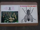LP la mosca (the fly)npk2  mono   Jazzrock  rar