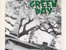 Green Day 39/Smooth LP punk hardcore nofx rancid bad religion screeching weasel