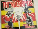 The Fabulous Thunderbirds 12