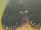 MCPHERSON,JD-LET THE GOOD TIMES ROLL  (US IMPORT)  VINYL LP NEW