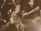 The Gaslight Anthem/Brian Fallon vinyl bundle MINT