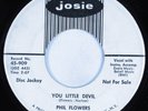 Northern Soul/Popcorn 45 PHIL FLOWERS You Little Devil JOSIE promo HEAR