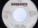 Modern Soul Boogie 45 FREEDOM FORCE What I Feel SUNDOWN HEAR