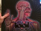 TOOL LATERALUS LP VINYL A PERFECT CIRCLE PUSCIFIER AENIMA METAL