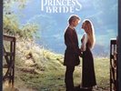 Mark Knopfler THE PRINCESS BRIDE cult fantasy rock soundtrack LP 1987 Cary Elwes