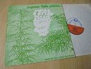 LP AUGUSTUS PABLO - ITAL DUB / 1975 uk-TROJAN original INSTR.-MELODICA-ROOTS-DUB