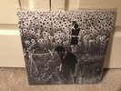 Jesu / Sun Kil Moon - Self Titled 2x Vinyl Lp caldo verde 2016 UK Press NM