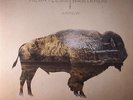HEARTLESS BASTARDS - Arrow - Vinyl (gatefold 2xLP + free MP3 download code)