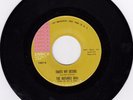 The Butanes 45 Don't Forget I Love You/My Desire ENRICA group soul doowop EX