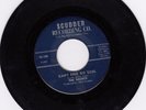 The Shouts 45 Can't Find No Soul/Stubborn SCUDDER garage punker VG LISTEN