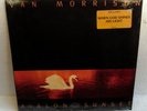 VAN MORRISON 