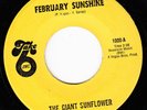 THE GIANT SUNFLOWER *FEBRUARY SUNSHINE/ MORE SUNSHINE* 1967 US PSYCH  N MINT