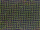 Animal Collective-Merriweather Post Pavilion  (UK IMPORT)  VINYL NEW
