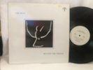 THE DOVE BEYOND THE FRINGE VINYL LP RECORD 12