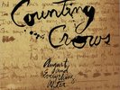 Counting Crows August And Everything After vinyl LP album record UK GEF24528