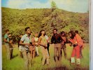 REGGAE IN THE GRASS VINYL Lp Studio One Rocksteady Ska Mod Soul Skinhead Record