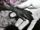 DEAD KENNEDYS Plastic Surgery Disasters - LP - Grey Vinyl - Gatefold (rerelease)