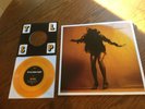 Everything You've Come to Expect [Deluxe Edition] * by The Last Shadow Puppets …