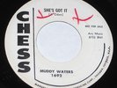 Muddy Waters 7