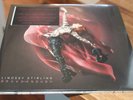 Lindsey Stirling Brave Enough 1 of 500 Limited Edition With Autographed Card