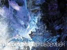 Poison The Well ,The Opposite Of December, Lp, Vinyl
