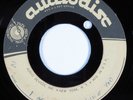 Northern Soul Acetate 45 UNKNOWN I Wanna Boy Like You AUDIODISC Unreleased? HEAR