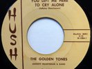 GOLDEN TONES 45 You Left Me Here to Cry.../Ocean of Tears HUSH doowop VG++ ws397