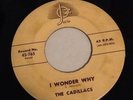 The Cadillacs I Wonder Why Gloria Josie Records Rare Doo Wop 45-765 Collectible