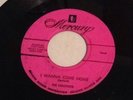 The Chestnuts Don't Go I Wanna Come Home Mercury Records Doo Wop Rare Soul 45
