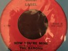 The Barons Now Youre Mine/Time & Time Again -Rare Garage 45RPM The S.R.O. Label