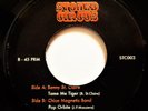 BONNY ST CLAIRE Tame Me Tiger VINYL 45 Psych Beat Funk CHICO MAGNETIC BAND 7