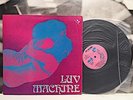 LUV MACHINE - SAME 1972 RARE ITALY LP PSYCH PROG HARD ROCK REX 70 INT. RILP 000