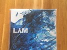 New Pair Serato LYM Lost Your Marbles Teal Blue Control Vinyl Pressing DJ Rare