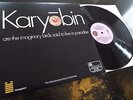 The Spontaneous Music Ensemble - Karyobin **Original UK Island ILPS 9079**