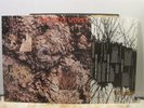The Icicle Works self titled with inner FREE  UK post