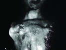 Cyclobe - Visitors