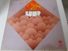 BUMP RARE MICHIGAN PSYCH PROG ROCK GRAIL LP ON PIONEER LABEL 1970 ORIGINAL PRESS