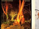 ECHO AND THE BUNNYMEN crocodiles (1st uk & inner) LP EX/VG KODE 1 new wave 1980