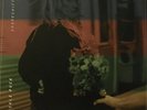 Knuckle Puck ?– Shapeshifter SEALED Rise 389-4 COLORED VINYL LTD EDT